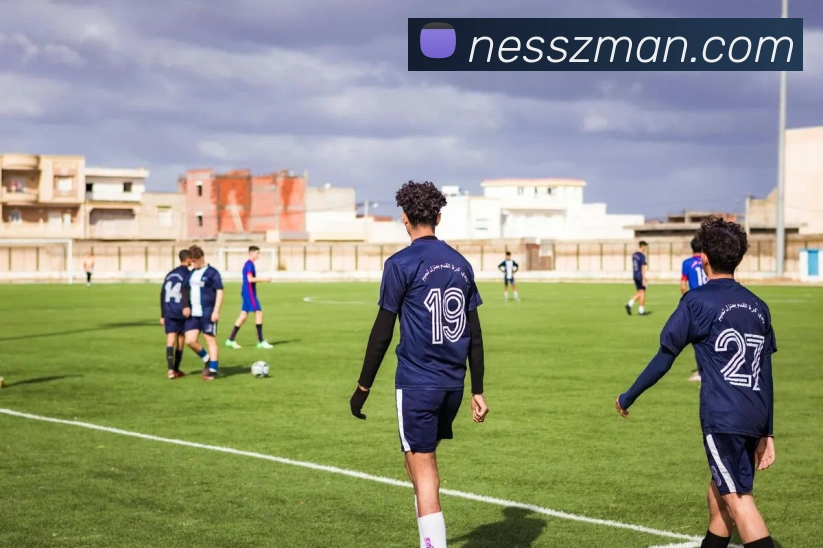 企业概况